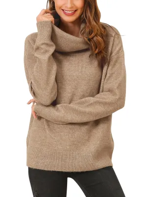 Turtle Neck Loose Warm Sweater